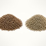 Cumin seeds, close-up