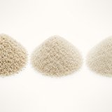 Psyllium husk, close-up